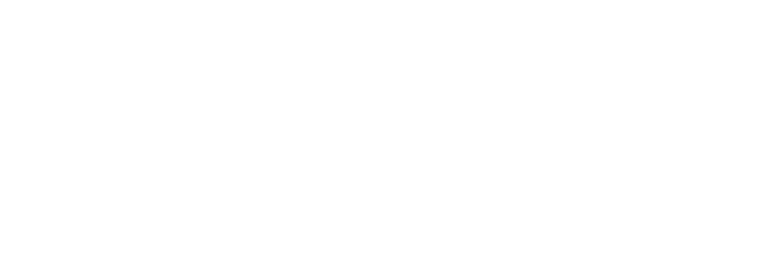 Leisure Pioneers logo white