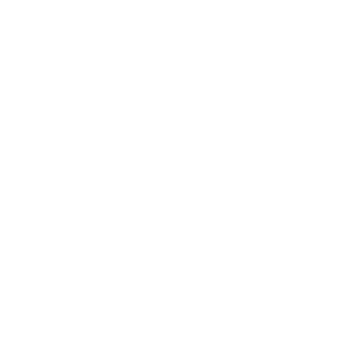 Leisure Pioneers favicon